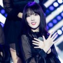 강아지를 부탁해 이미지