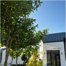 엄블라비안 이미지