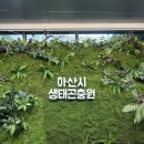 실옥로 | 아산 생태곤충원 6월까지 무료! 시원한 실내 아이랑 가볼만한 곳