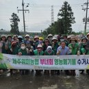 신례1리 이미지