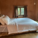 퐁낭거리 이미지