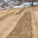 지원농장 이미지