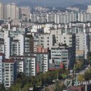 신도시로 이미지