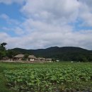 외암마을 이미지