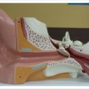 맑은몸한의원 이미지