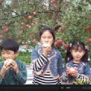 경신농장 이미지