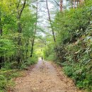 용담면사무소 이미지