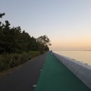 요가 E반 | 워킹맘 체력 책임지는 손잡이없는실내자전거 오버더 바이크