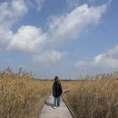 순천만국가정원 생태체험장 화장실 | 부안 가을여행지 줄포만 노을빛 정원 (줄포만갯벌 생태공원)