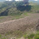 평온 제2농장 이미지