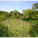 안면도자연휴양림 이미지