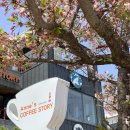 신나는 빨강모자와 친구들 | 속초 빨강머리앤 카페추천 앤커피스토리 감성 가득 테마카페 솔직후기