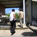 김대식농장 이미지