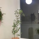 홍정농장 이미지