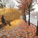 인디언 썸머 Indian Summer 이미지