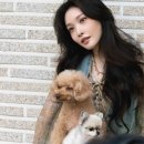 청하헬스 이미지