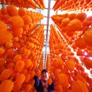 지리산곰실곶감농원 | 지리산 함양 고종시 곶감축제 상림공원 무료주차장 곶감할인매장 곶감파는농가 공연 라인업(ft. 이찬원...