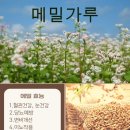 하늘찬도토리