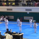 용인대 SK 태권도 이미지