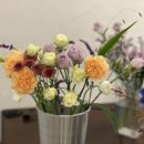 아워데이즈 네이버블로그