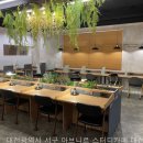 아브니르 이미지