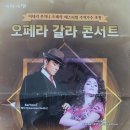 이태리 푸치니 페스티벌 주역가수 초청 오페라 갈라 콘서트 이미지