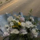 몽멍이들 이미지