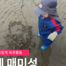 스테이외포 네이버블로그