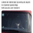 오직 유월드로만 공부, 엔클렉스 150문제풀고 합격후기 및 괌 엔클렉스 시험장 후기