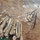 목골농장 이미지