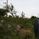 재능농장 이미지