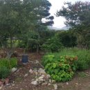 정선영농장 이미지