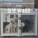 신진이엔지 | 붐펫 드라이룸 W400 내돈내산 실사용 후기