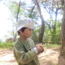 이른 주하의 숲생일잔치.코앤코(꽃6.5) 이미지