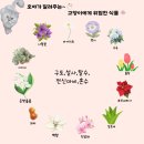 호호냥(Hohonyang) 이미지