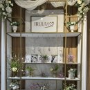 면목5동주민센터 이룸카페 | W.05 이룸 웨딩컨벤션 투어 후기 + 26년 상반기 견적 공유 (계약 o)