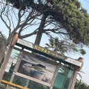 희진주유소 이미지