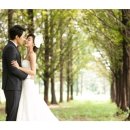 위드스튜디오 이미지