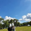 의림지민박 이미지