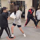 서귀포주짓수,복싱 이미지