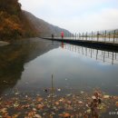 가을이 물들어 가는 아침 안개속 북한강 화천 산소길 환상에 빠지다 이미지