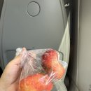 봉구하우스 | 여행 Day 21. 로마(살레르노에서 로마가기, 로마봉구네하우스 후기, 판테온, 산티냐치오 성당, 트레비...