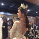 11650-14-38-20 | 스트레이트 체형 177cm 신부 웨딩드레스 피팅 후기| 머메이드·A라인·벨라인 20벌 착용