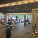 더휘트니스 이미지