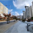 호매실서희부동산공인중개사사무소 | 권선구원투룸, 서희코뿔소 공인중개사사무소에서 안전하게 구해보세요!