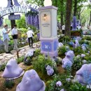 서울국제정원박람회 개막 이미지