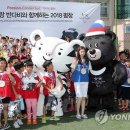 횡계초등학교 이미지