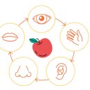 나래목장 이미지