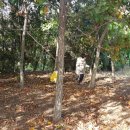 거모어린이집 이미지