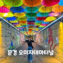 문경 오미자테마터널 포토존 가득 사진찍기 좋은 이색 관광지